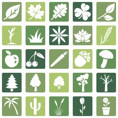 Vector Set of Plants Icons N3