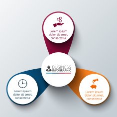 Vector circle infographic N65