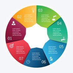 Vector circle infographic N66