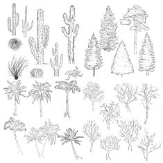 Vector Big Set of Sketch Trees and Plants N2