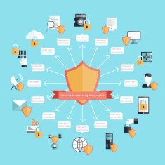 Information Security Infographic N2
