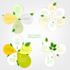 Leaves infographic N5