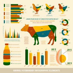 Animal husbandry infographics flat design elements
