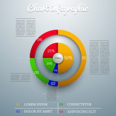Business Pie Chart N13
