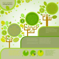 Leaves infographic N6