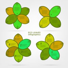 Leaves infographic N7
