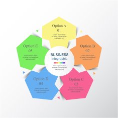 Vector infographic N365