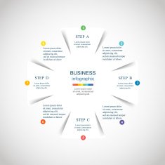 Vector infographic N366