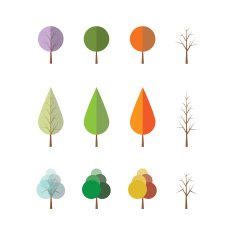 Four Seasons Different Tree Designs - Icon Set for Web