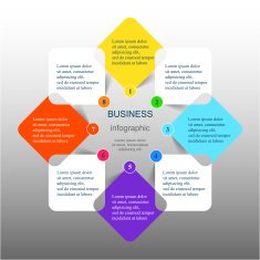 Vector infographic N368