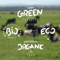 Organic eco bio green labels and icons set N2