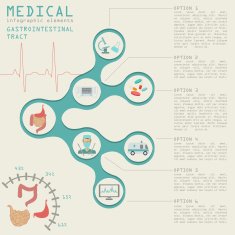 Medical and healthcare infographic N24
