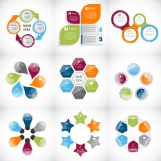 Collection of Infographic Templates for Business Vector Illustration N29