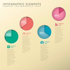 abstract pie chart infographics N13
