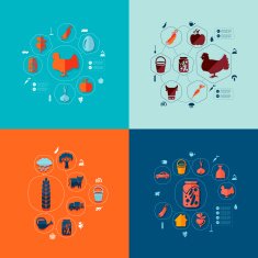 agriculture flat infographic N25