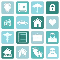 Vector Set of Insurance Icons N14