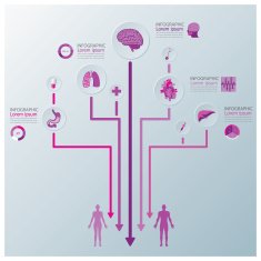 Health And Medical Infographic Infochart