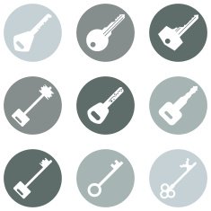 Vector Set of Keys Icons N19