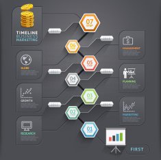 Timeline infographic template N10