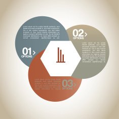 infographics N198