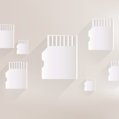 Compact Memory Card Icon N7