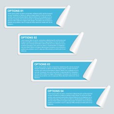 Vector infographic Design template N13