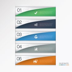 Vector infographic options