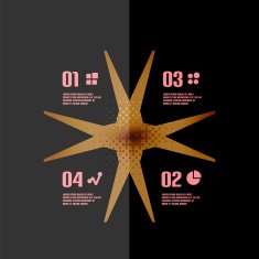 Vintage retro geometric infographic banner N6
