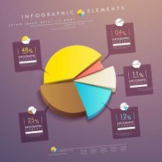 abstract pie chart infographics N14