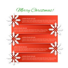 Christmas infographic N11