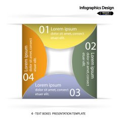 Modern colorful infographics options banner N11