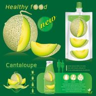 cantaloupe melon infographics vector illustration