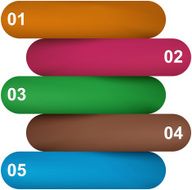 Inforgraphic Template N2