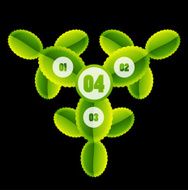 Glossy green leaves infographic design