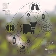 veterinary infographic with unfocused background N58