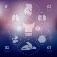 veterinary infographic with unfocused background N67
