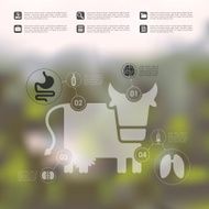 veterinary infographic with unfocused background N69