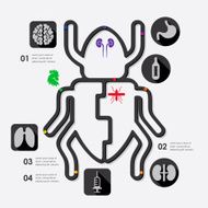 veterinary infographic N42