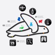 veterinary infographic N43