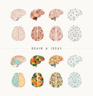 Brain and ideas icon set illustration N2