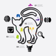 veterinary infographic N46