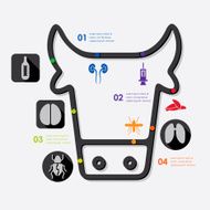 veterinary infographic N48
