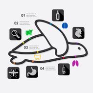 veterinary infographic N49