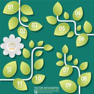 Growing Green Vine Plants Infographic