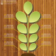 Green Plant Infographic On A Wood Base N2
