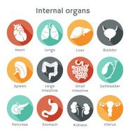 Set of flat icons with human internal orangs