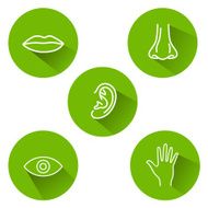 Five Senses Icons N2