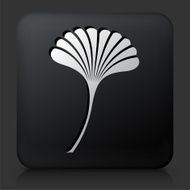 Black Square Button with Leaf Icon N15