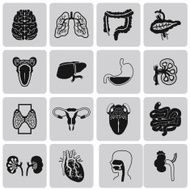 Vector Black icons of internal human organs Flat design set3