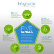 Five Senses Infographic Design N5